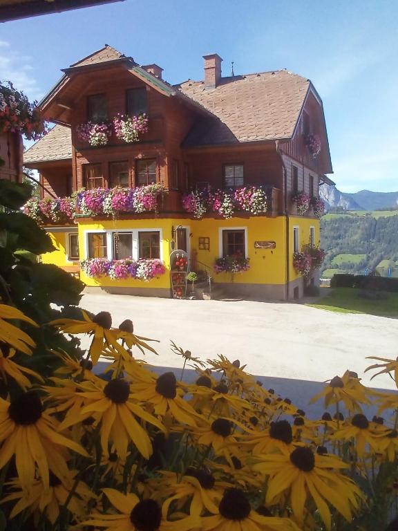Panoramahof Gupf - Ferienwohnung Gröbming