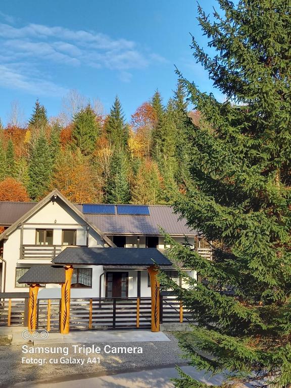 Voroneț, CABANA IOANA, Bucovina! - B&B Voroneţ