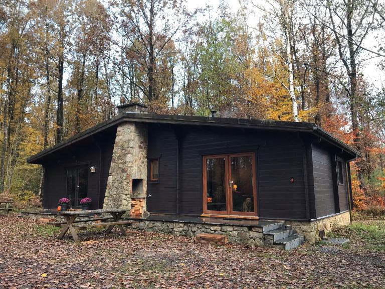 Forest Lounge - B&B Petit Mesnil