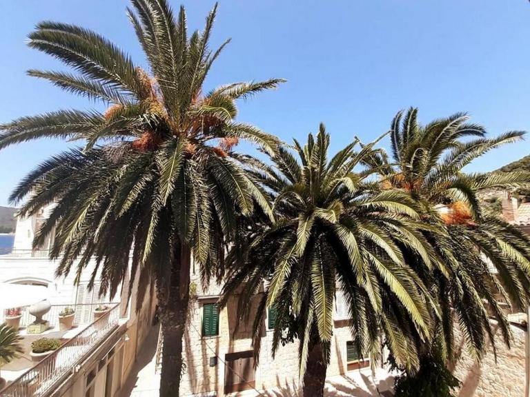 Casa Ruben, private stone house - B&B Vis