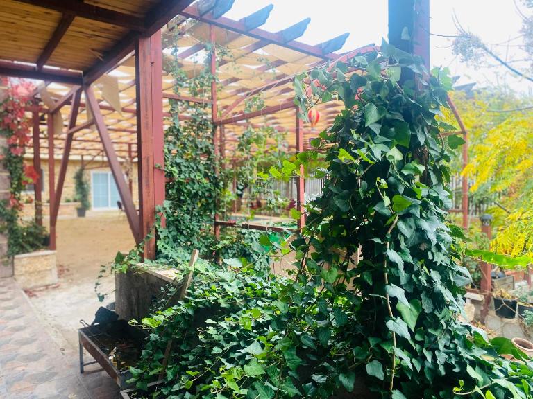 Green houseجوهره الشمال - B&B ‘Ajlūn