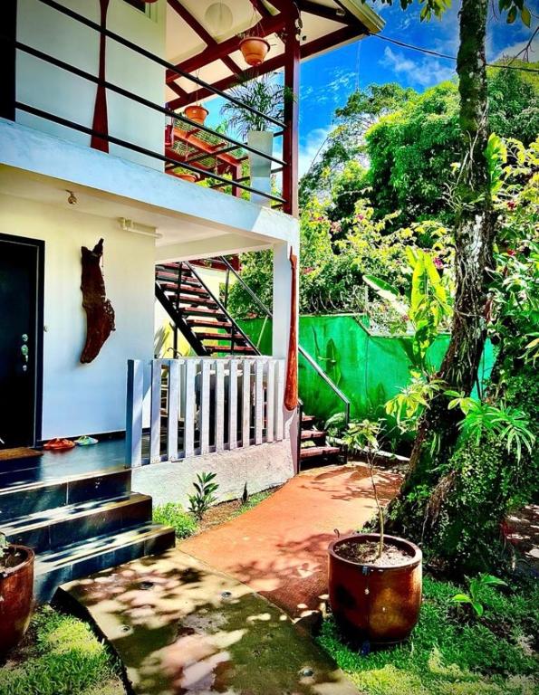 BUDDA HOME - Chambres d'hôtes Tortuguero