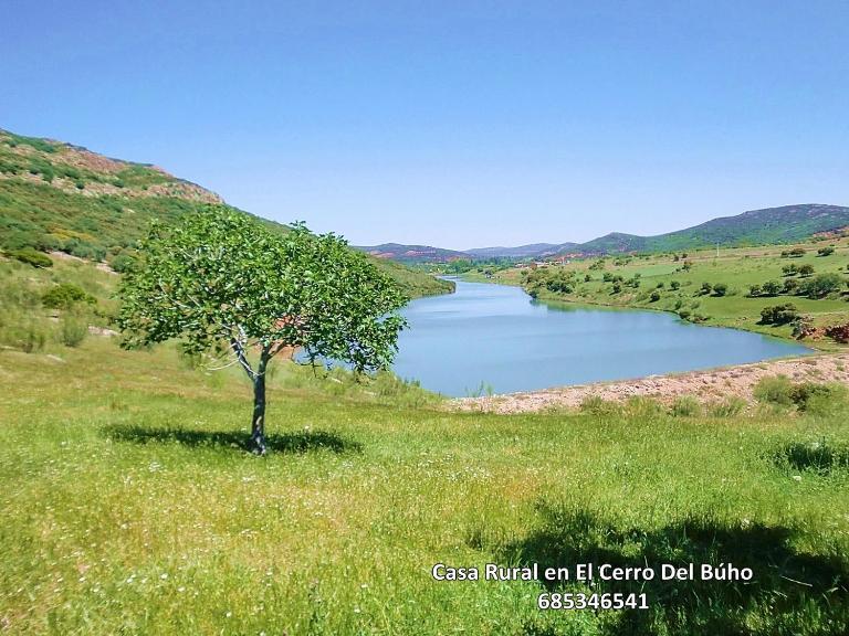 Casa Rural en El Cerro Del Búho - B&B Piedrabuena