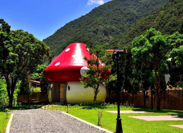 Mushroom Forest Guesthouse Camping Site - B&B Puli