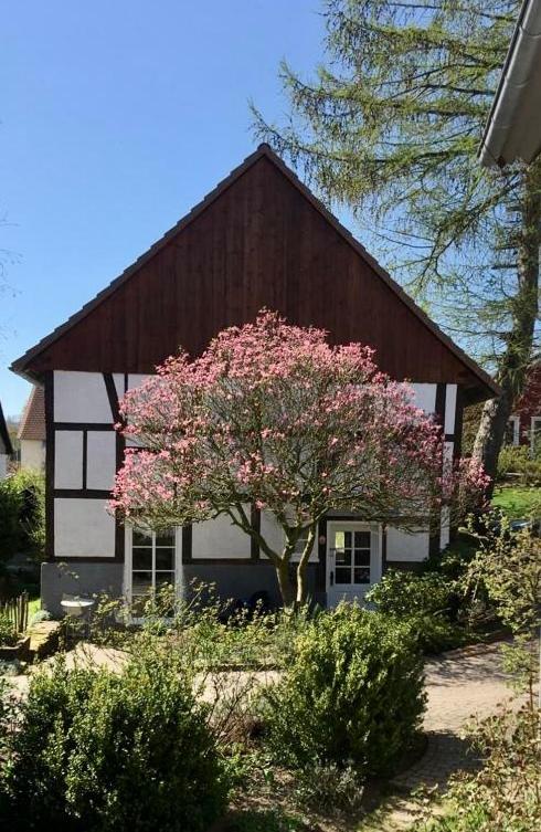 Gemütliches Ferienhaus im Extertal/ Lippe - B&B Extertal