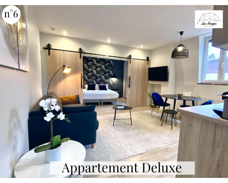 Les Anges - Place Des Héros - Emplacement PREMIUM - 6 appartements - Cosy et Calme - B&B Arras