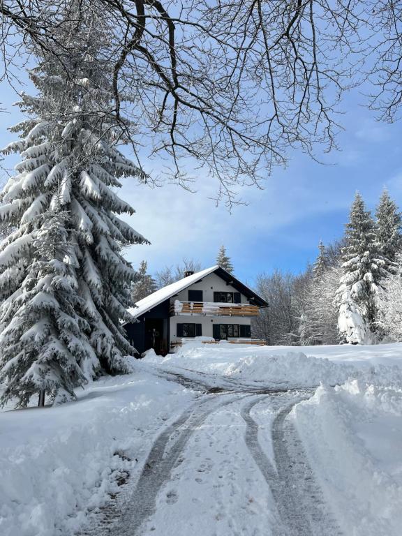Chalet Mint - B&B Delnice