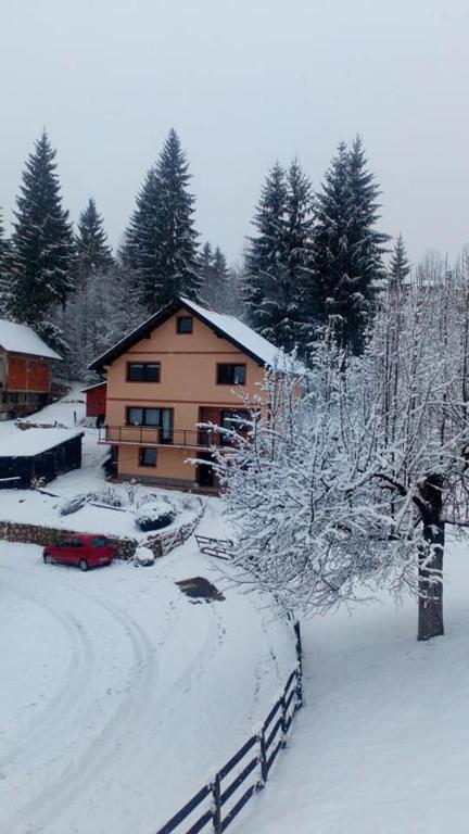 Apartman Miron Pale - B&B Pale