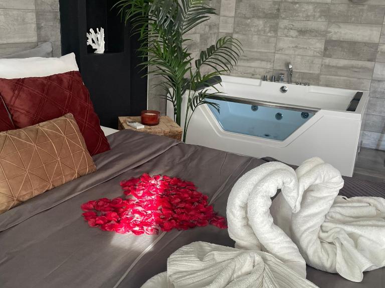 Superbe appartement avec balnéo. - B&B Saint-Cyprien
