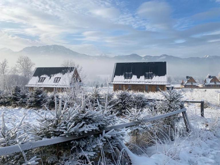 Tatra Twin House - B&B Kościelisko