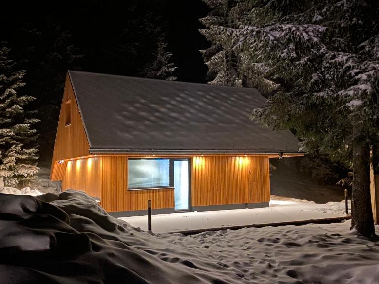 Brunarica Chalet Rogla Sauna - B&B Vitanje