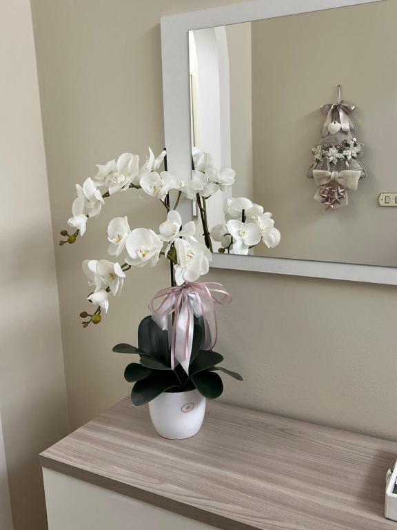 Casa vacanze l’orchidea - B&B Soci