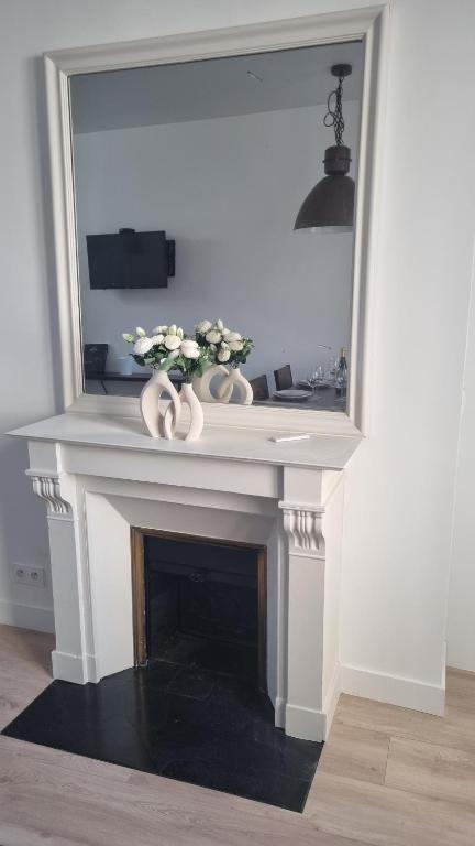Appartement luxueux dans maison bourgeoise parisienne - B&B Levallois-Perret