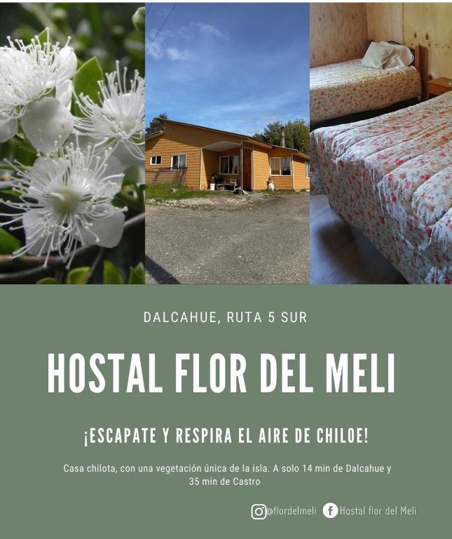 Hostal Flor del Meli - Chambres d'hôtes Dalcahue