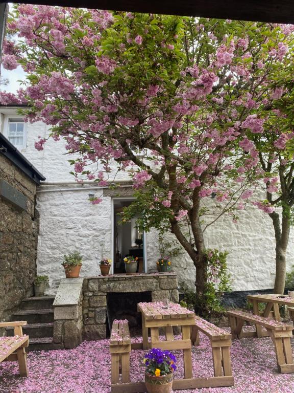 The White House at The Tinners Arms - B&B Saint Ives