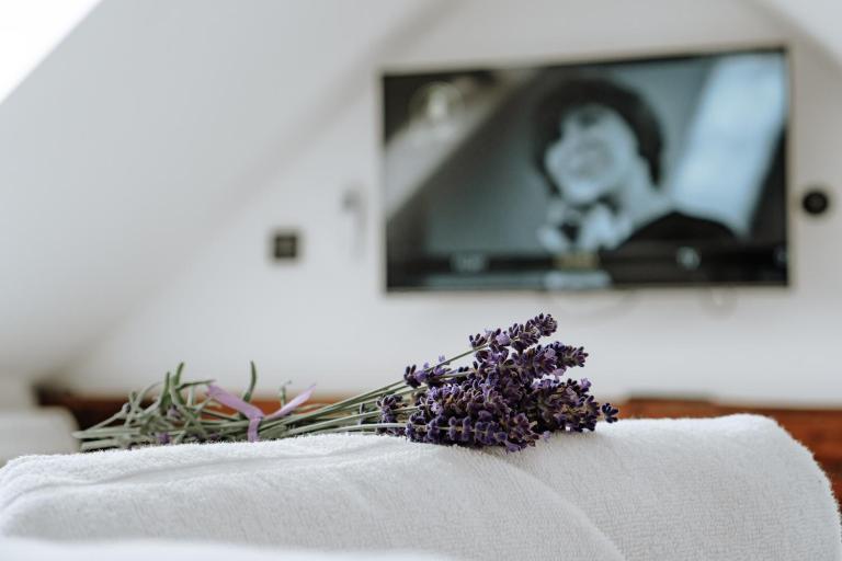 Dom Hany Hegerovej - B&B Hurbanovo