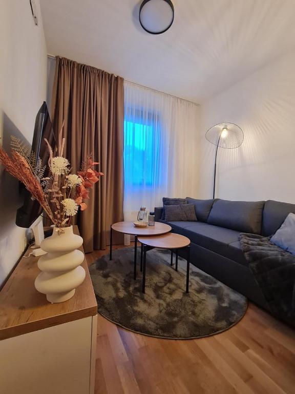 Maxx Apartmani Obucina Kapije - B&B Jahorina