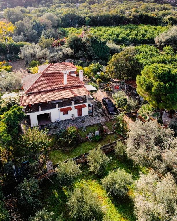 Villa Eirini with sea view - B&B Dryopi