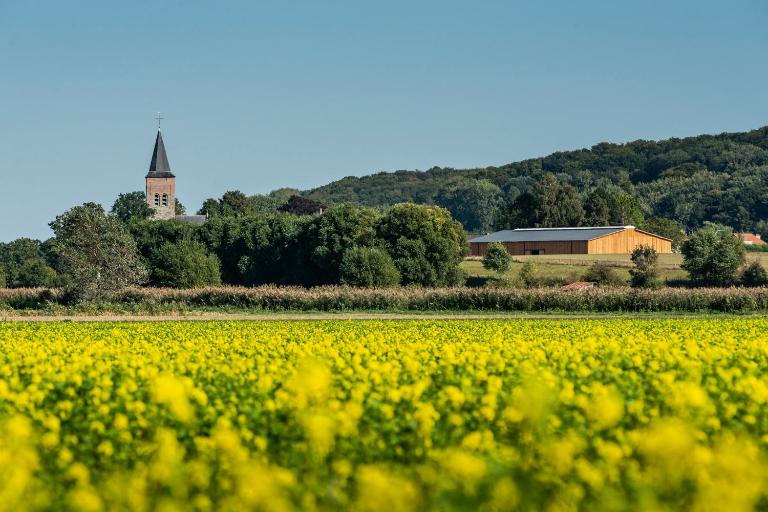 B&B Martinushoeve - B&B Oudenaarde