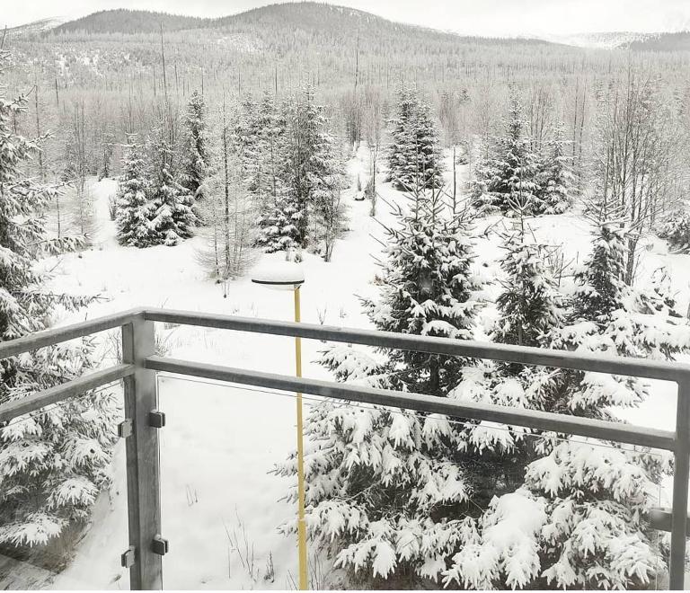 UBYTOVANIE POD GERLACHOM - Ferienwohnung Vysoké Tatry