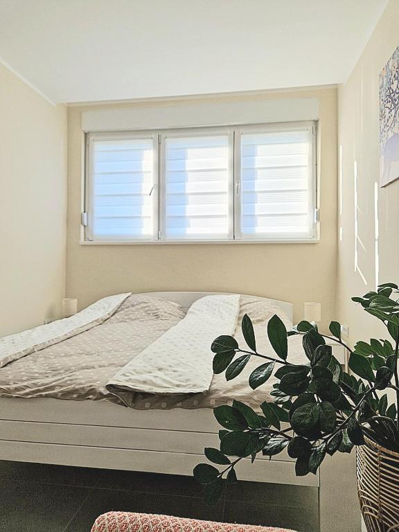 Oaza apartmani 2 - Ferienwohnung Senta