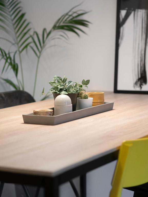 Sentrumsvegen - Private Studio Apartment in Gol - Ferienwohnung Gol