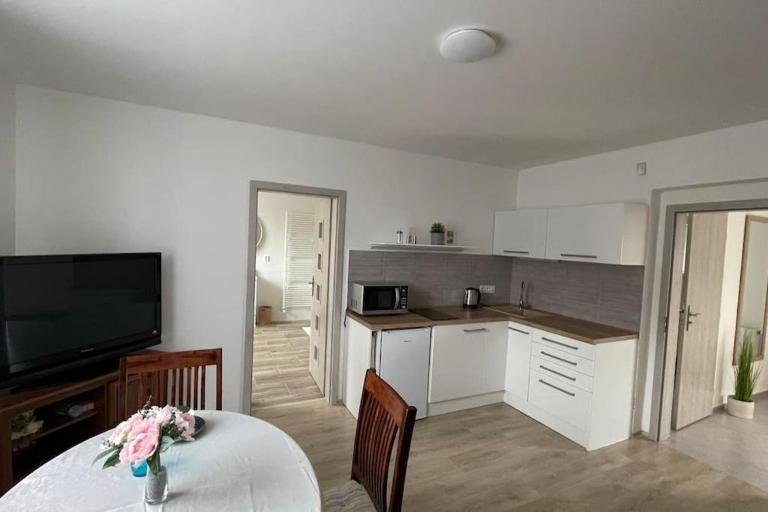 Dům nad Jezerem - apartmán I. - Chambres d'hôtes Most