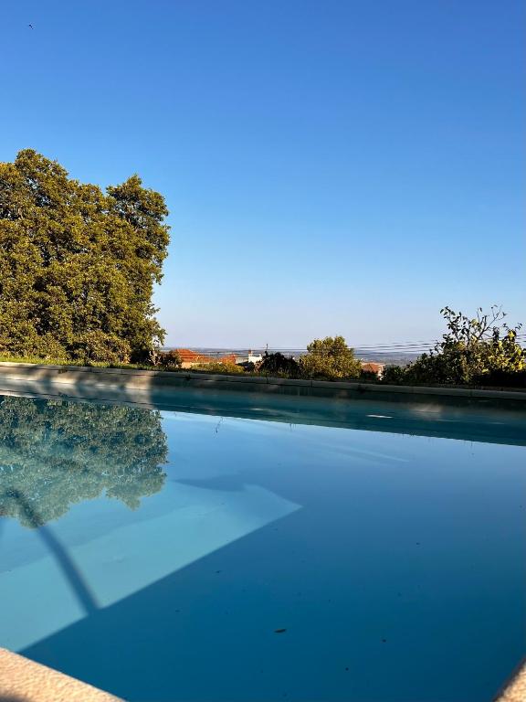 Quinta da Porta - Solar de Vale de Prazeres - Chambres d'hôtes Vale de Prazeres