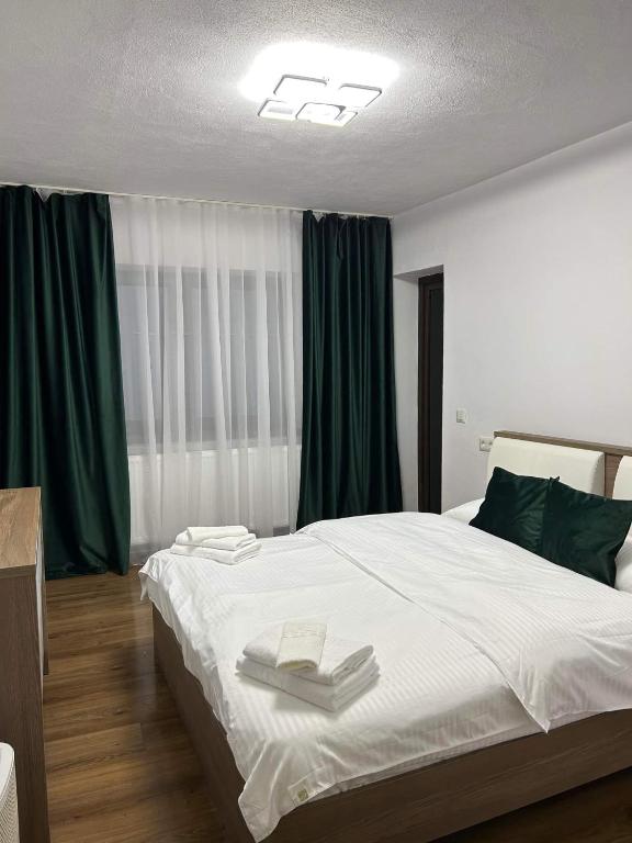 Vila AliBi Valiug - 200m from Ponton Casa Baraj - B&B Văliug