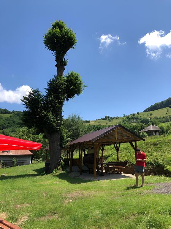 Casa Pescarului Apuseni - B&B Sohodol