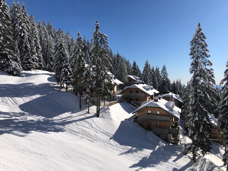 Primorka Golte - B&B Mozirje