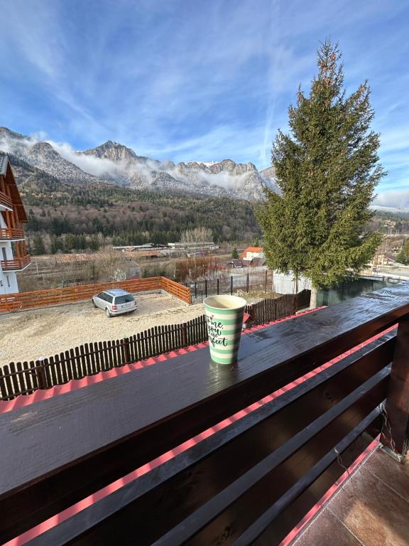 Casa Rares Busteni - B&B Buşteni