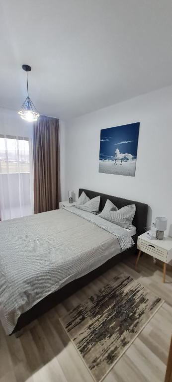 La Andrei - Ferienwohnung Bistritz