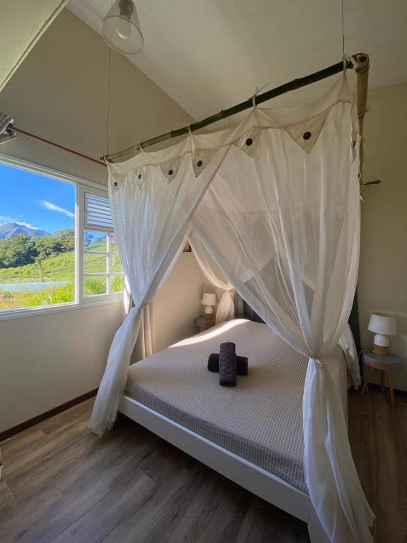Chambre et SDB privative Roucou vue Mont Pelée dans maison partagée - B&B Le Morne-Rouge