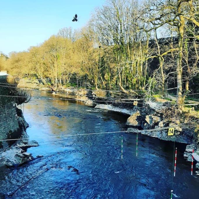 Selah Teifi spectacular river view with games room - B&B Llandysul