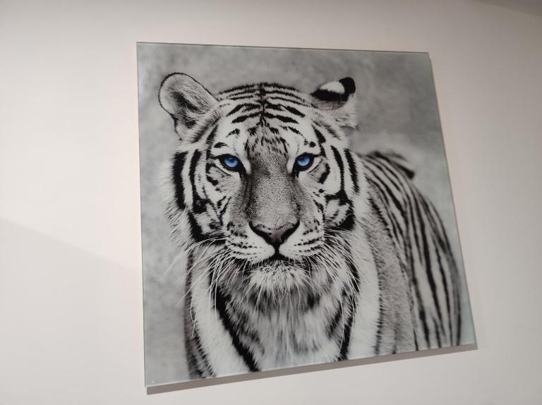 Eye of the Tiger. Apartament w centrum Mrągowa. - B&B Mrągowo