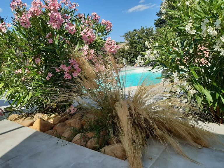 L'EN HAUT - B&B Aramon