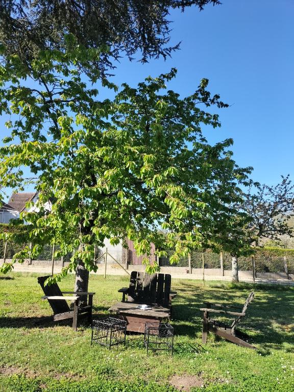 Petit cocooning Au cœur de la Sologne - Bed and Breakfast Romorantin-Lanthenay