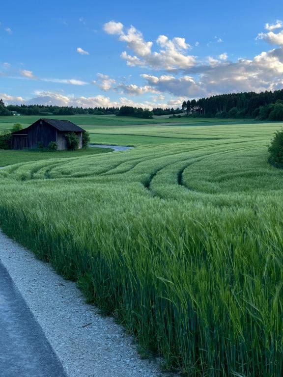 Ferienwohnung Naturpark Schwarzwald - B&B Löffingen