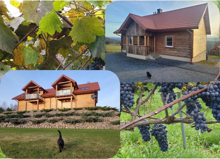 Fantastic View Vineyard Beskid Mountains - B&B Gruszów