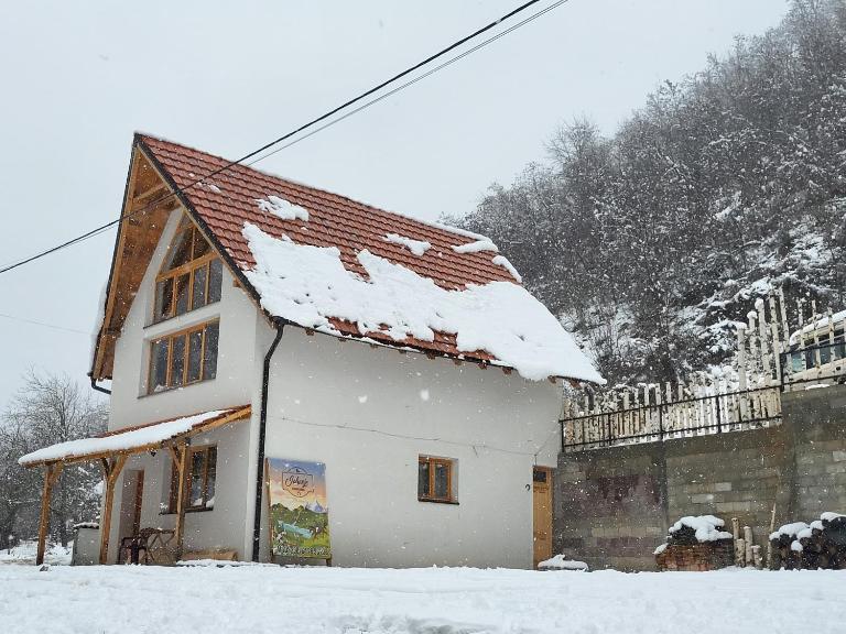 Antić apartmani Stara planina - Ferienwohnung Crni Vrh
