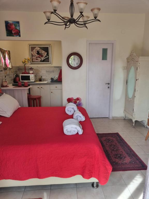 Pinat Hashaked - Ferienwohnung Rosch Pina