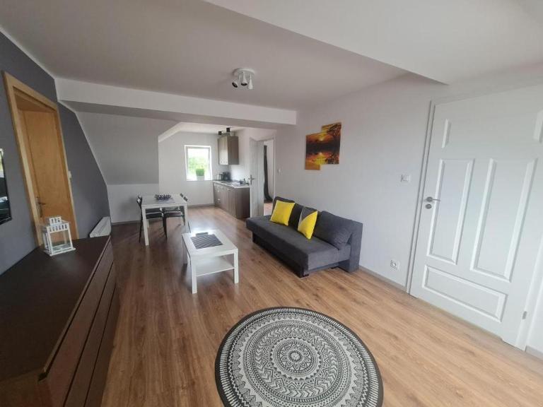 Apartamenty Kalinowa Nowęcin Łeba Sauna - B&B Nowęcin
