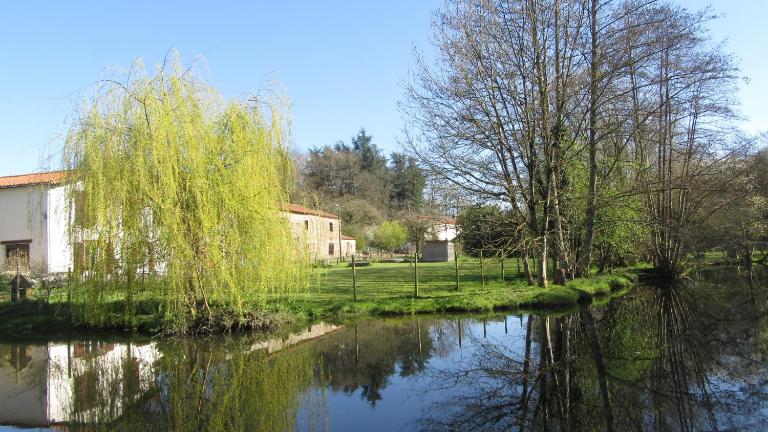 Chambres d'hôtes de La Templerie-Moulin - Chambres d'hôtes Bazoges-en-Paillers