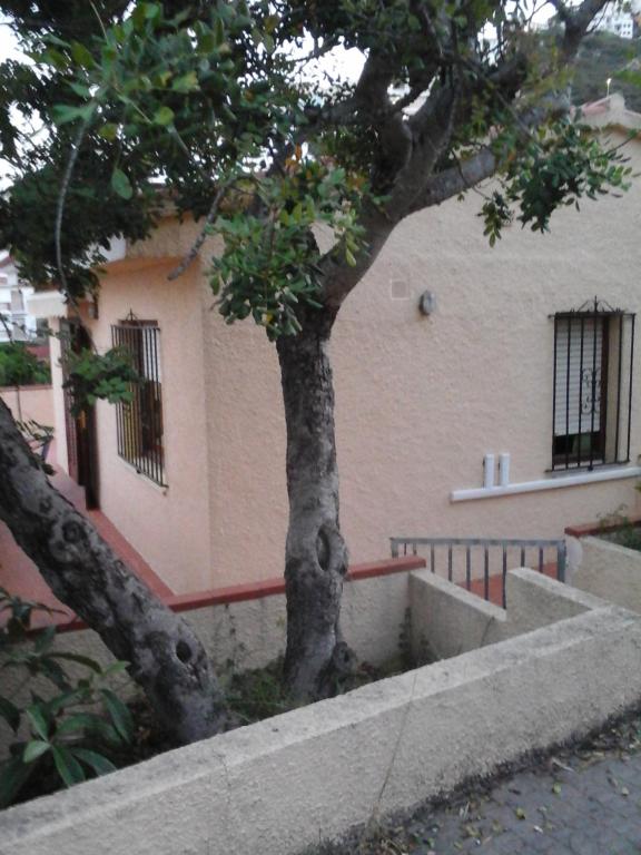 El nispero - B&B Peñíscola