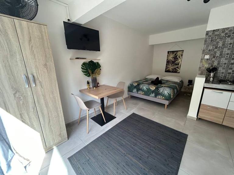 Studio jungle chic - B&B Le Tampon