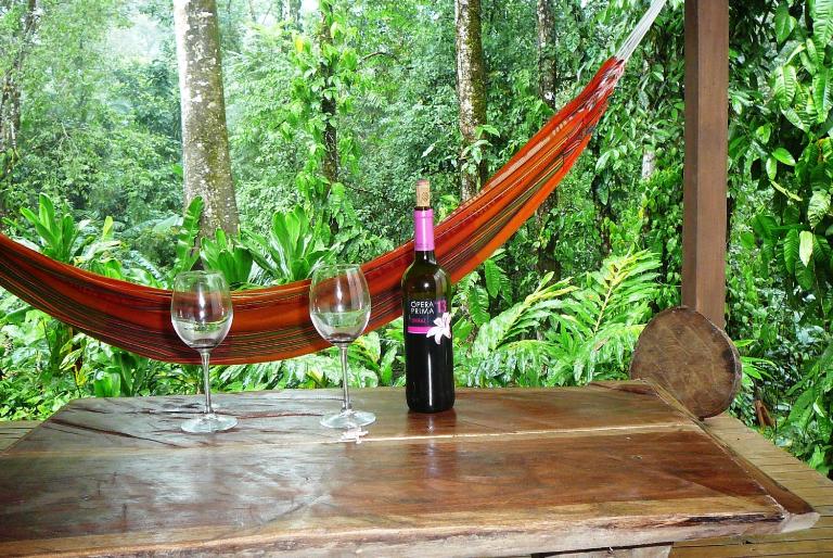 Casa Lina sloth view exotic apartment with privat kitchen - B&B Puerto Viejo de Sarapiqui