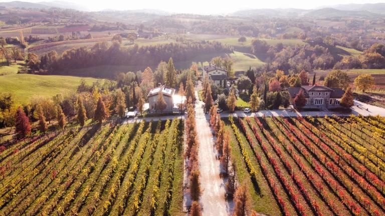 Agriturismo e Acetaia la Vedetta - B&B Castelvetro di Modena