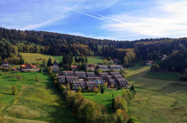 Terrassenpark Apartments (low budget) - B&B Sasbachwalden