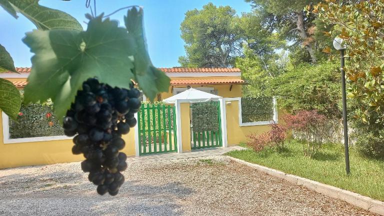 Case Barone di Muro - B&B Torre dell'Orso